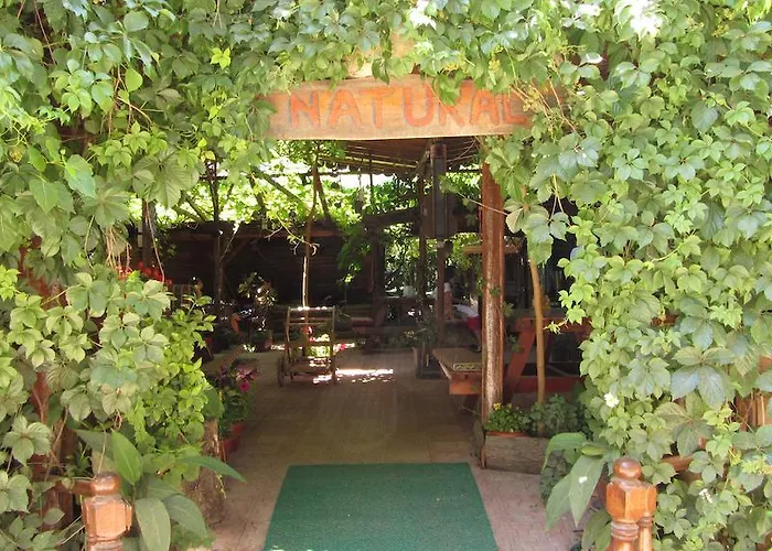 Olympos Natural Pansiyon