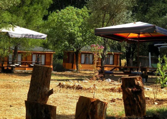 Olympos Woods - Adults Only