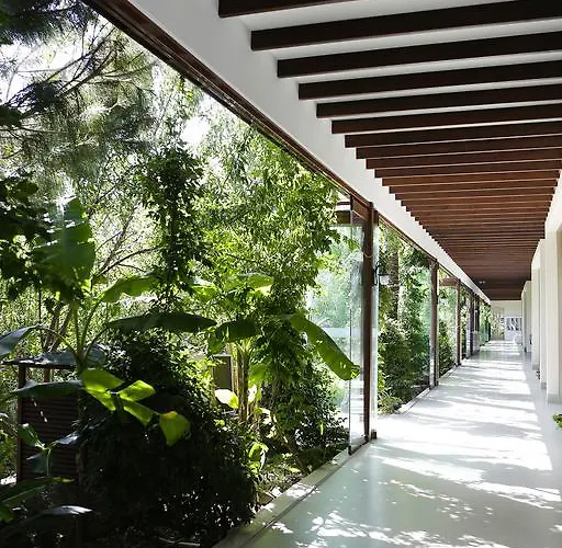 Lifeco Bodrum Well-Being Detox Center And Vegan (Adults Only)