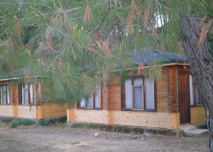 Olympos Woods - Adults Only