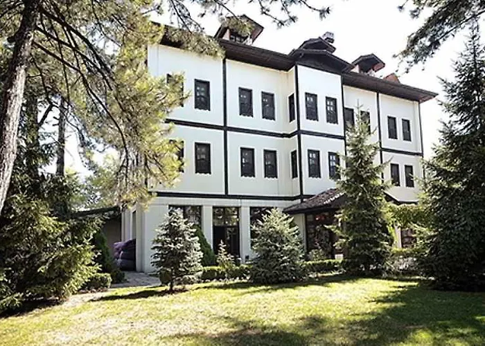 Celik Palas