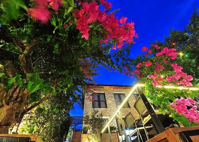 Hotel Gizia 5 Oda By El Hac