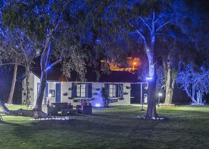 Mavi Zeytin Butik Otel