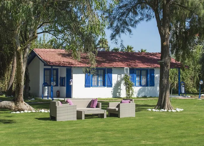 Mavi Zeytin Butik Otel