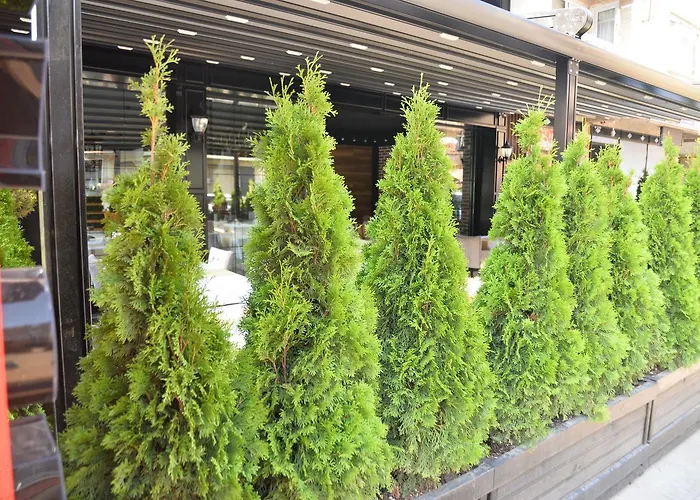 Enginyurt City
