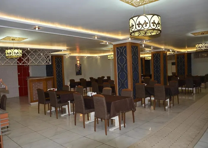 Hotel Dedemin