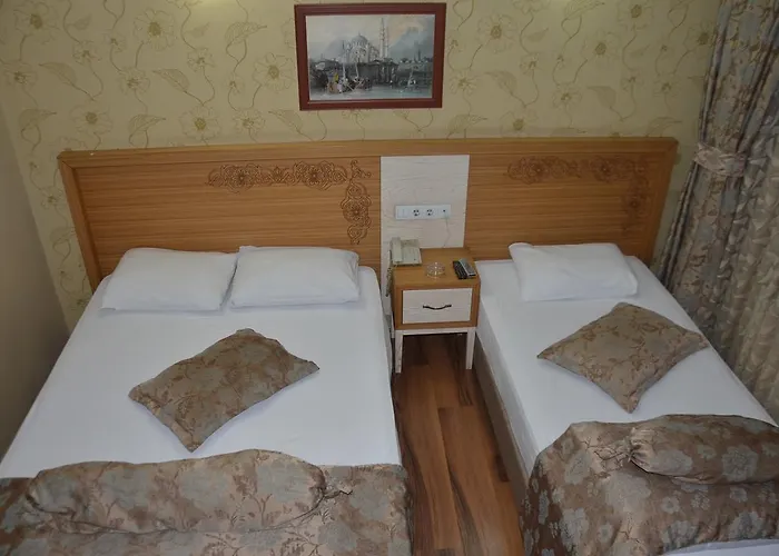 Hotel Dedemin
