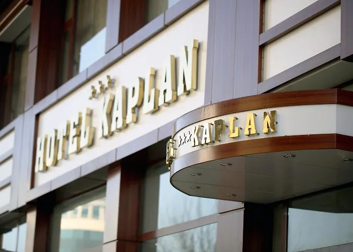 Kaplan Di̇Yarbakir