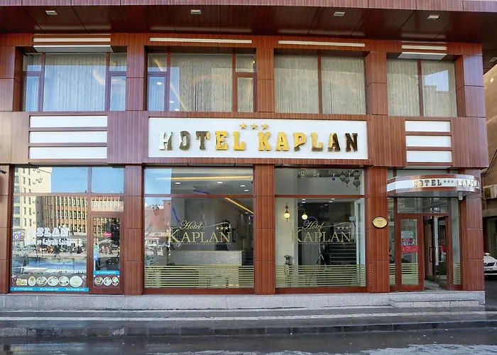 Kaplan Di̇Yarbakir