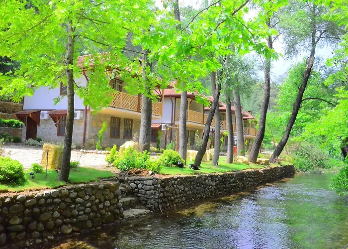 Eco Family Park Hotel Bozlar, Türkiye