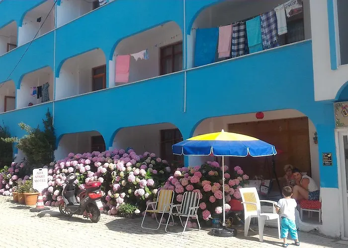 Ada