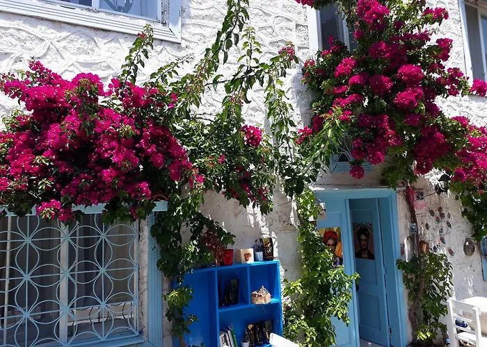 Alacati Frida