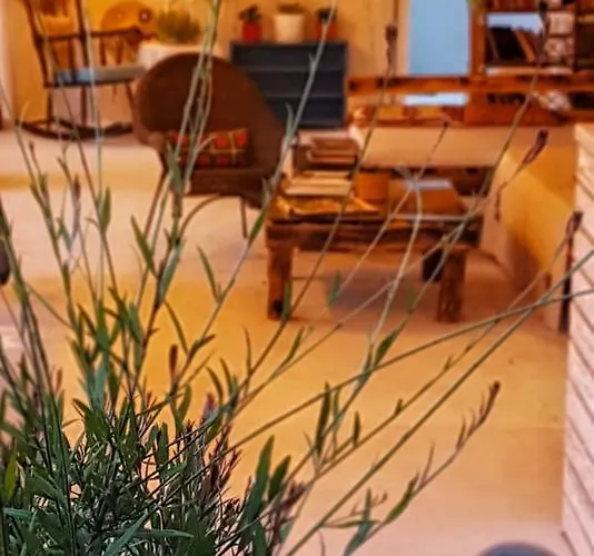 Fullmoon Rooms Cesme