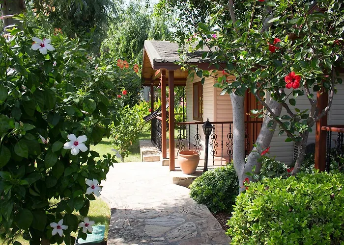 Datca Surf Tatil Koyu