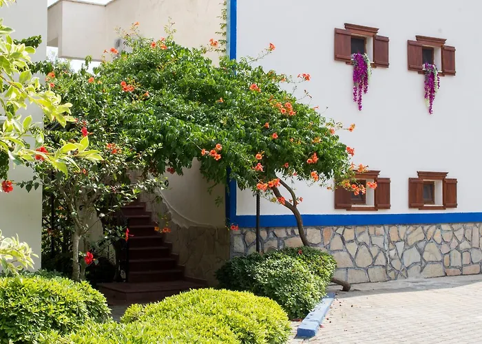 Datca Surf Tatil Koyu