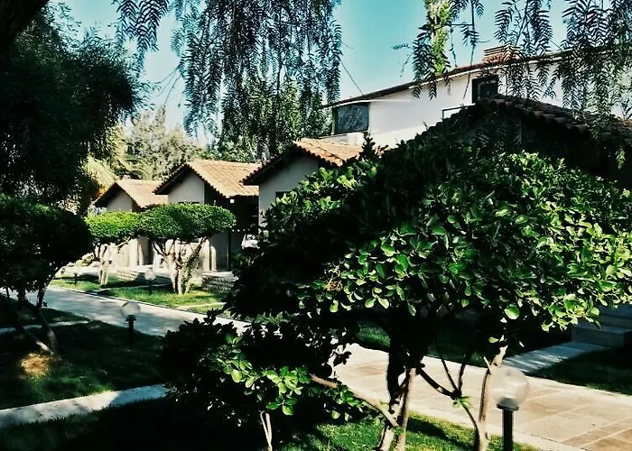 Palm Motel Beach Club