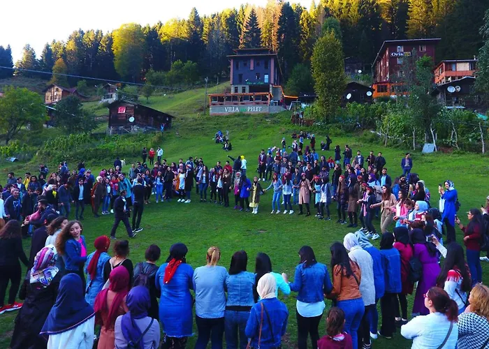 Ayder Villa De Pelit Hotel