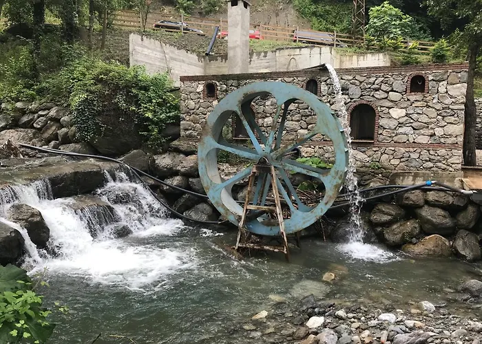 Premium Sapanca Resort