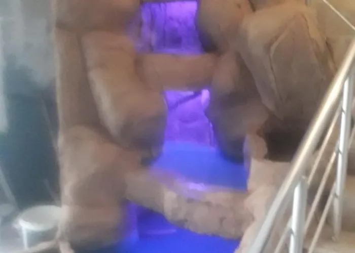 Pasazade Otel Kestel Kestel , Türkiye