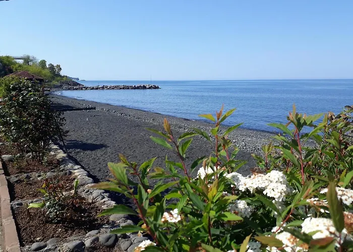 Pasa Tatil Koeyue