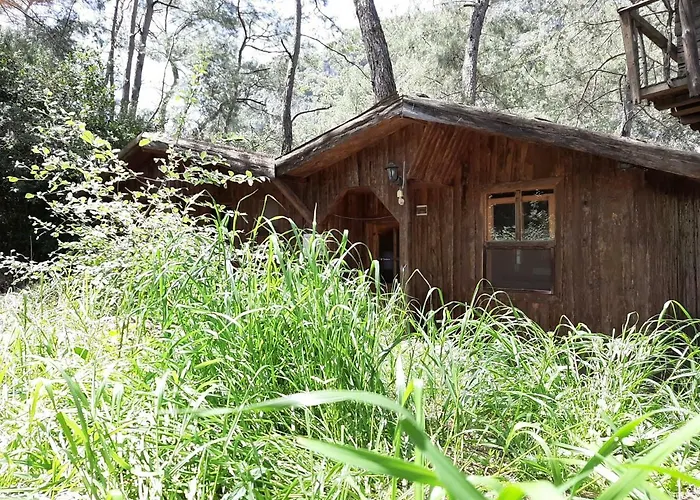 Altaris Bungalows Olympos
