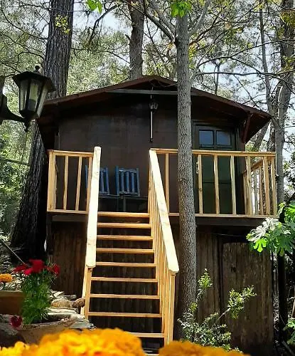 Altaris Bungalows Olympos
