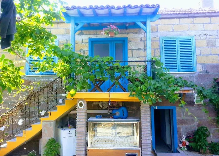 Assos Mia