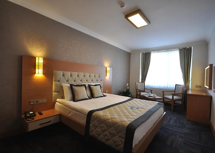 Double Comfort Hotel Ankara, Türkiye