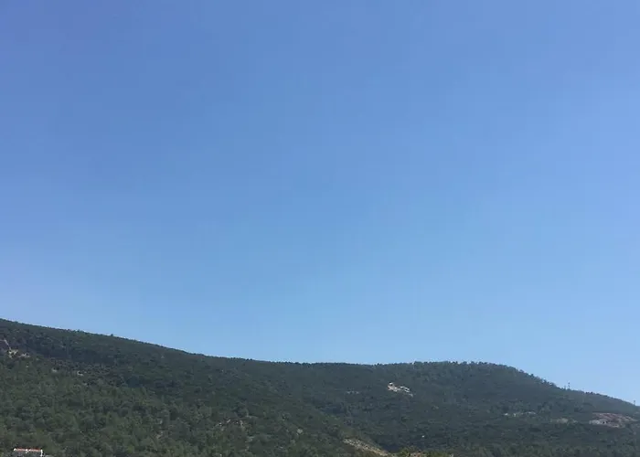 Asli Boutique Hotel Akbük, Türkiye