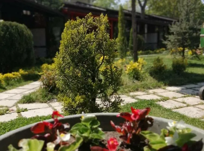 Kirkpinar Otantik
