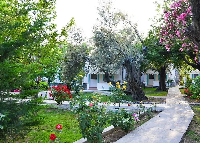 Ergul