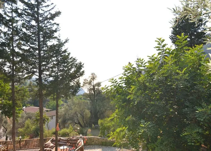Baharoglu Life House Faralya