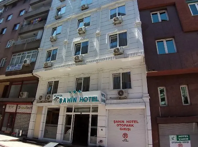 Şahin