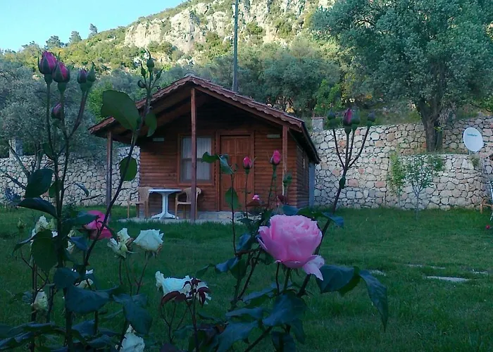Hidden Garden