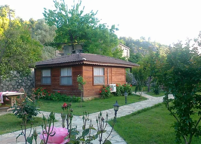 Hidden Garden