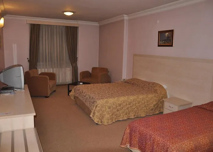 Duezce Anil Hotel