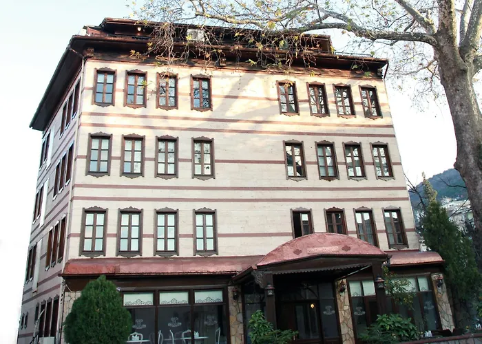 Kadi Konagi Thermal