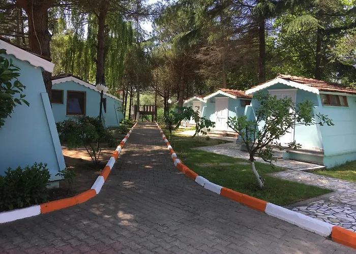 Shila Doert Mevsim Tatil Koyu