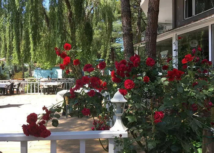 Shila Doert Mevsim Tatil Koyu