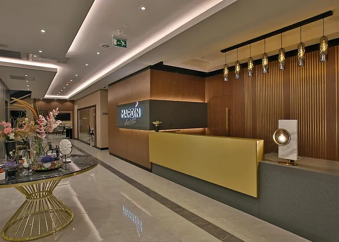 Mardin Airport hotel, Türkiye