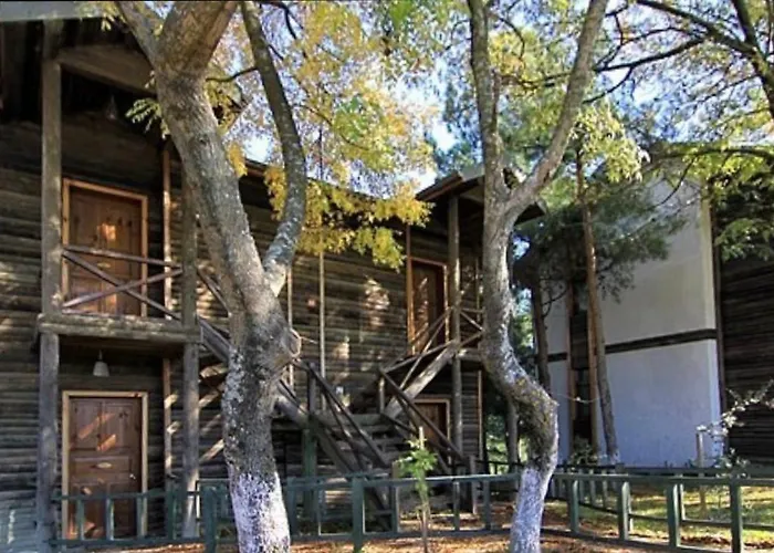 Ahsap Park