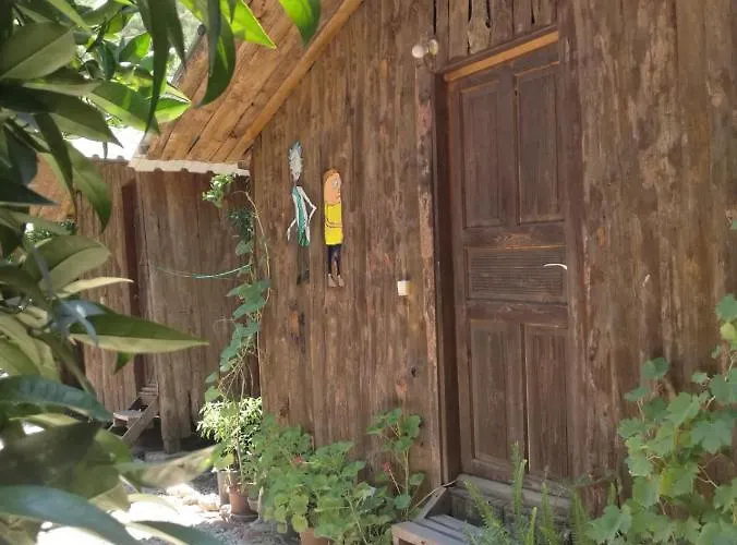 Olympos Yakamoz Pansiyon