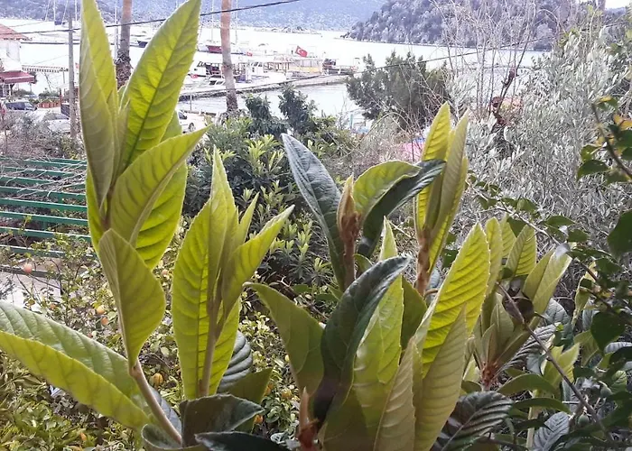 Cennet Pansiyon